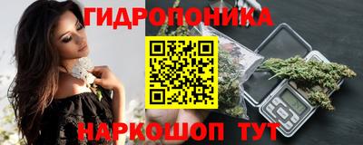 стаф Кунгур