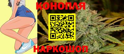 стаф Кунгур