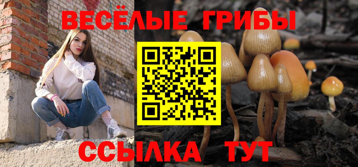 Галлюциногенные грибы GOLDEN TEACHER Зима